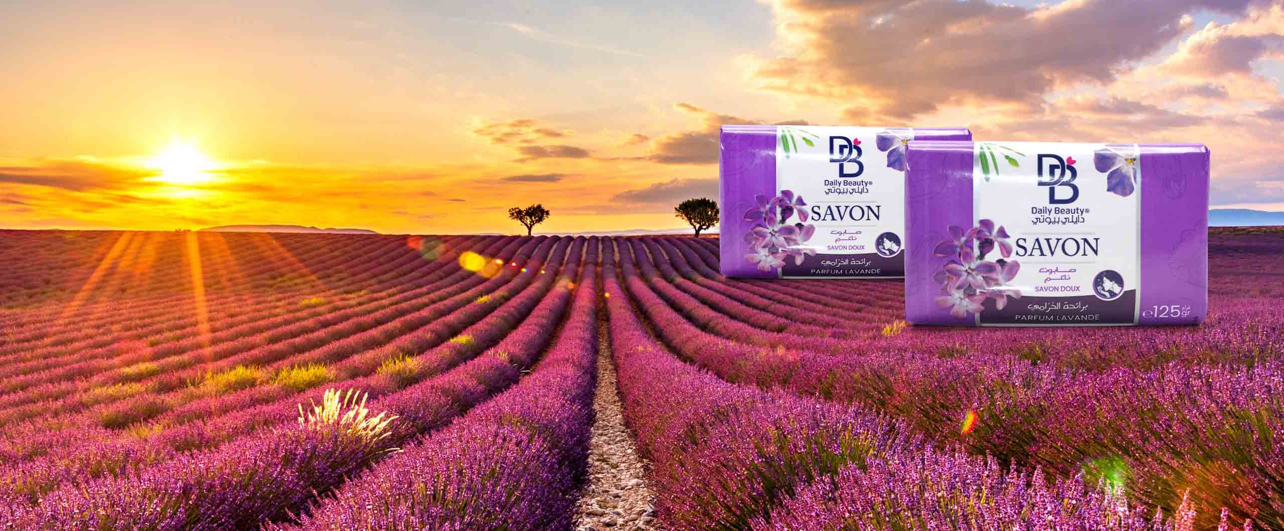 bannière Savon daily beauty lavande
